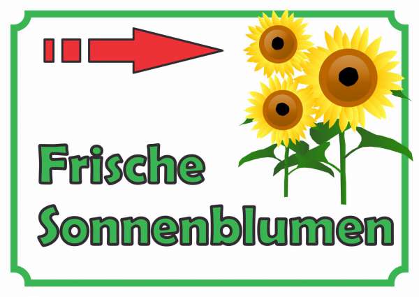 Sonnenblumen Verkaufsschild mit Pfeil rechts Hofladen Verkaufsförderung