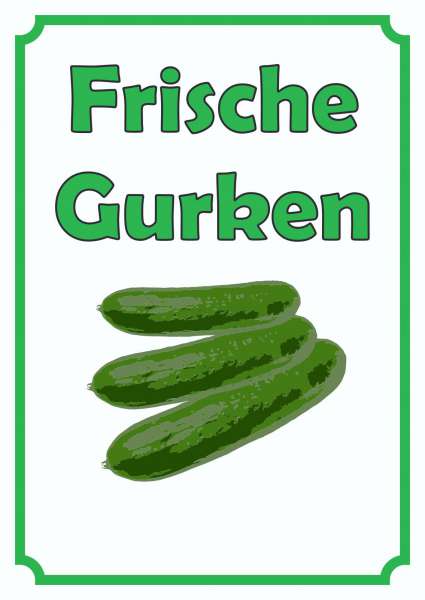 Frische Gurken Schild Hochkant