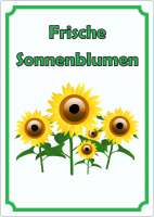 Sonnenblumen Aufkleber Hochkant Sonnenblumen Aufkleber Hochkant