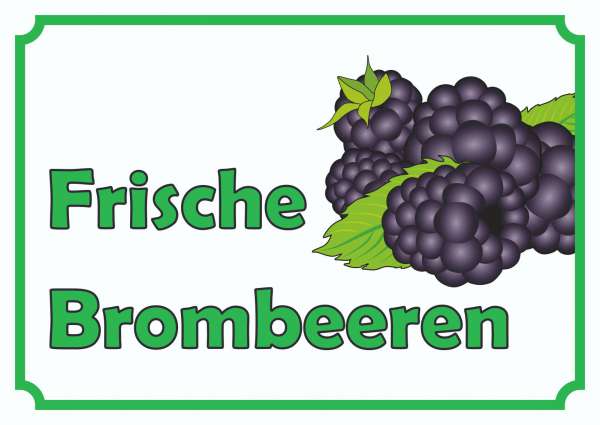 Verkaufsschild Schild Brombeeren