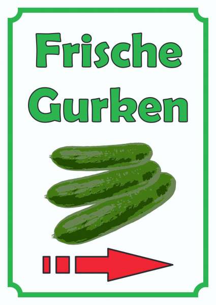 Frische Gurken Schild Hochkant mit Pfeil rechts