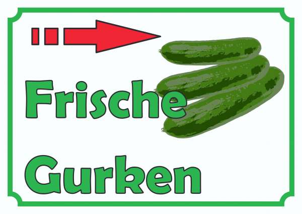 Frische Gurken Verkaufsschild Schild Pfeil rechts