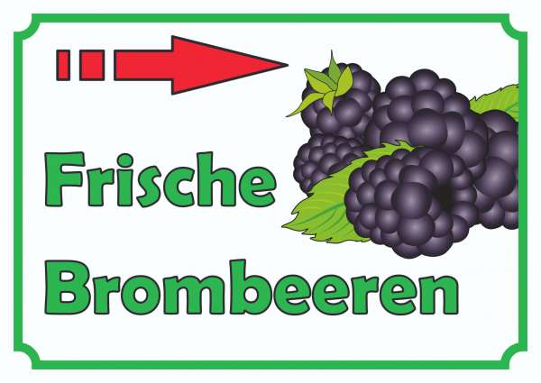 Verkaufsschild Schild Brombeeren rechts